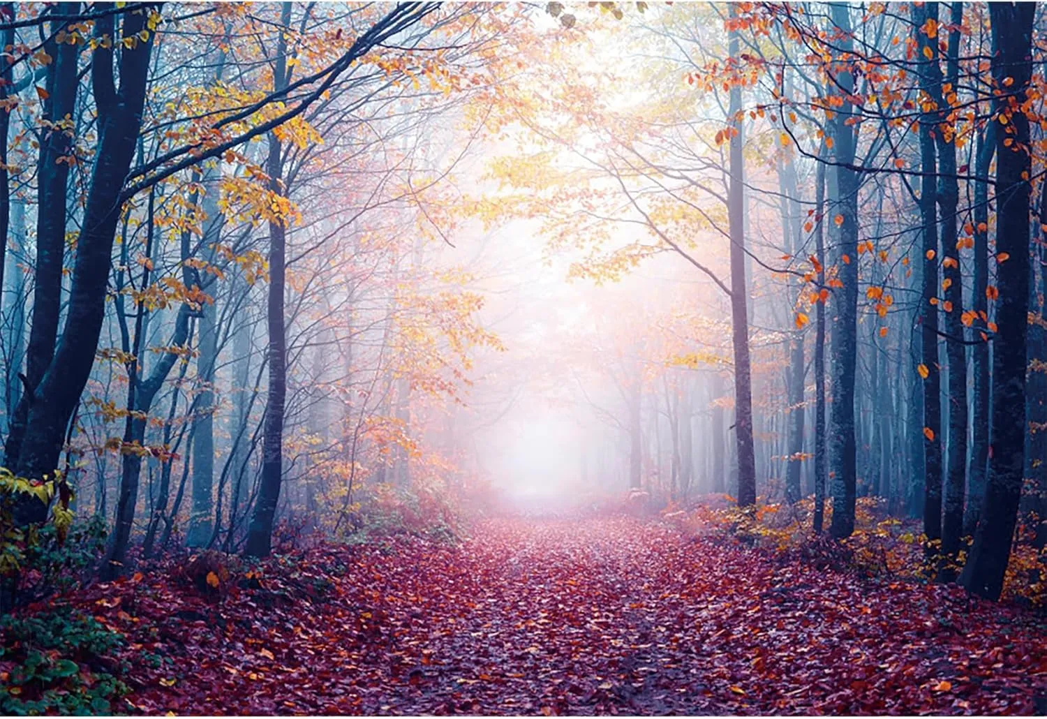 10x8ft Fall Misty Forest Photo Backdrop Wonderland Morning Mountain Pathway Maple Trees Red Leaves Twlilight Autumn Natural Landscape Photography Background Room Wallpaper Photo Studio Props