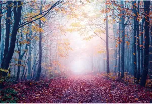10x8ft Fall Misty Forest Photo Backdrop Wonderland Morning Mountain Pathway Maple Trees Red Leaves Twlilight Autumn Natural Landscape Photography Background Room Wallpaper Photo Studio Props
