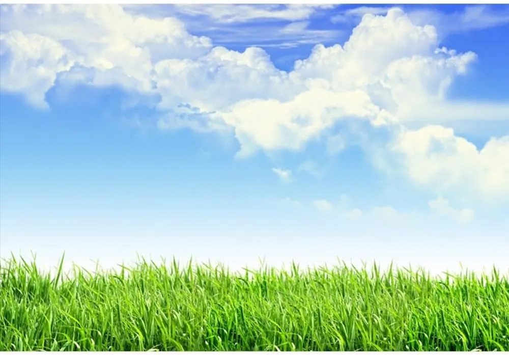 10x8ft Green Grassland Backdrop Spring Meadow Blue Sky White Cloud Natural Scenry Photography Background for Outdoor Activity Picnic VBS Party Decor Portrait Photo Studio Props Wallpaper