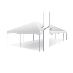 20x100 Master Series Frame Tent