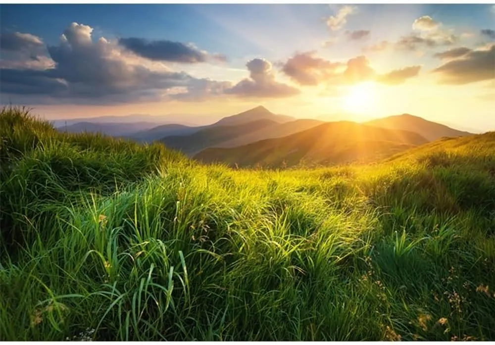 7x5ft Spring Natural Landscape Backdrop Prairie Savannah Green Grass Lawn Sunset Mountain Photography Background for Outdoor Camping Holiday Vacation Kids Adults Portrait Photo Shoot Props