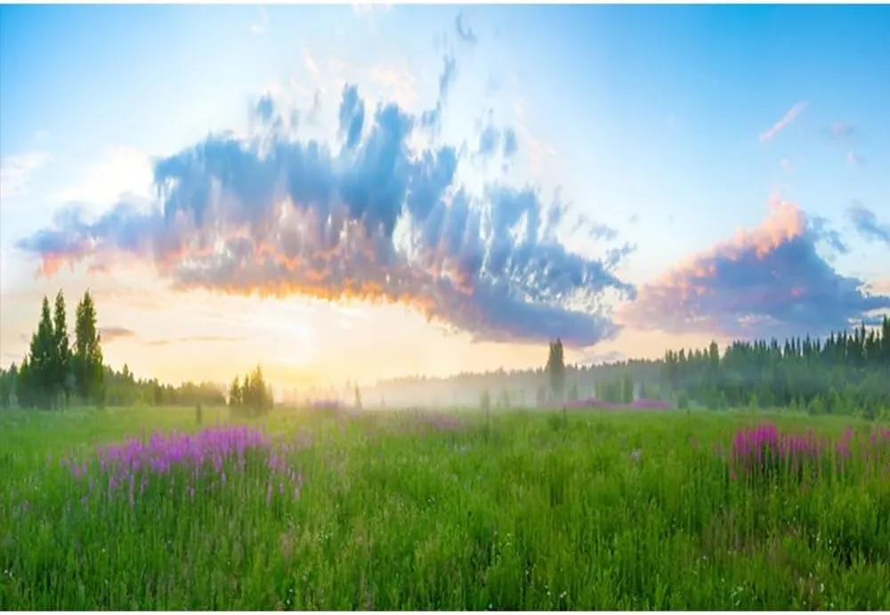 7x5ft Spring Summer Landscape Backdrop Rural Field Meadow Wildflower Grassland Sunrise Photography Background for Outdoor Activities Picnic Camping Kids Adults Portrait Photo Shoot Props