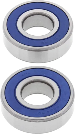 All Balls Racing 25-1626 Wheel Bearing Kit Compatible with/Replacement For Buell 1125 CR Helicon 2009, 1125 R Helicon 2008-2009, Blast 2000-2009