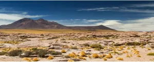 AOFOTO 10x5ft Western Scene Plateau Mountain Nature Landscape Backdrop Desert Tumbleweed Wild Plant Bush Saguaro Wall Decor Art Print Poster Wallpaper Background for Photography Photo Shoot Props