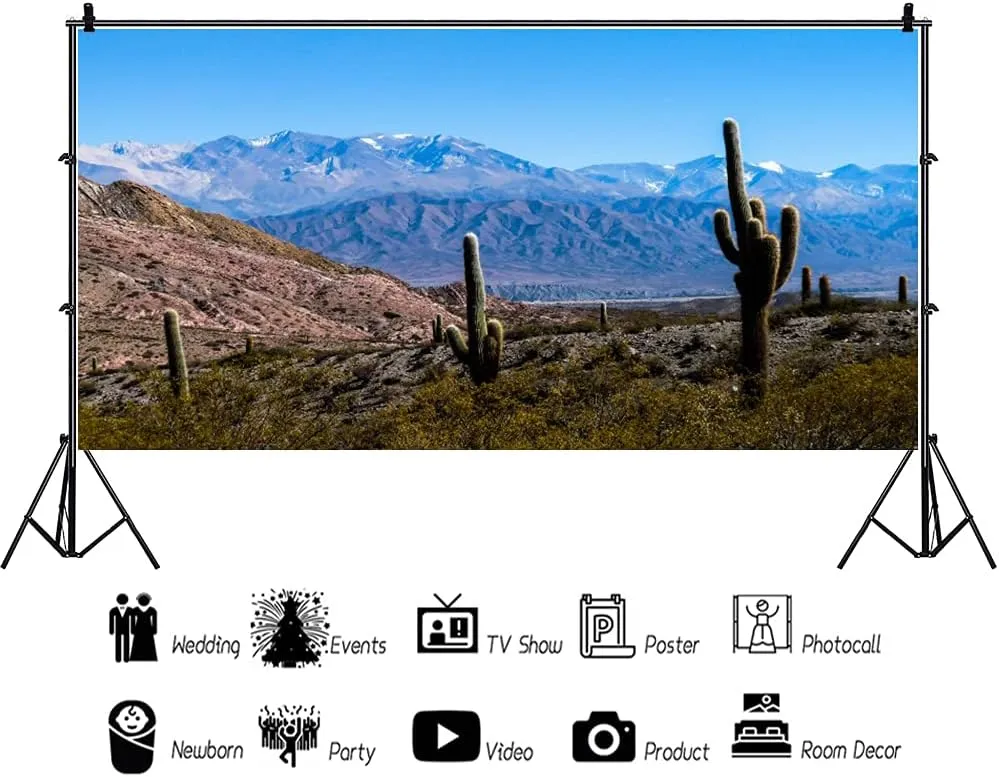 AOFOTO 20x10ft Plateau Desert Cactus Backdrop for Photography Western Blue Sky Snow Mountain Natural Landscape Arid Area Green Large Prickly Cholla Photo Background Men Boy Photo Studio Props Vinyl