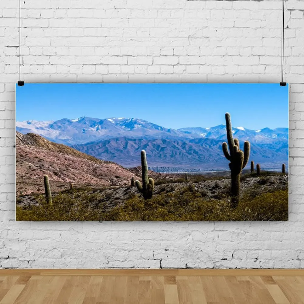 AOFOTO 20x10ft Plateau Desert Cactus Backdrop for Photography Western Blue Sky Snow Mountain Natural Landscape Arid Area Green Large Prickly Cholla Photo Background Men Boy Photo Studio Props Vinyl