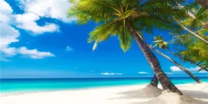 AOFOTO 20x10ft Sea Beach Photography Background Hawaiian Luau Seaside Palmtree Backdrop Vacation Trip Blue Sky Summer Holiday Boy Girl Lovers Adult Portrait Wedding Photo Studio Props Vinyl Wallpaper