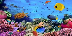 AOFOTO 20x10ft Under Sea Seabed World Backdrop Underwater Scene Colorful Marine Coral Fishes Aquarium Photography Background Diving Holiday Photo Studio Props Kid Girl Baby Child Infant Boy Portrait