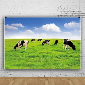 AOFOTO 7x5ft Nature Spring Scene Backdrop Cow Meadow Blue Sky Plateau Photography Background White Cloud Pasture for Photoshoot Photo Booth Studio Kids Adults Portrait Shooting Prop