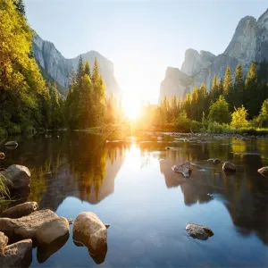 AOFOTO 8x8ft Nature Mountain Forest Backdrop Valley Sunrise Landscape Photography Background Pine Tree River Natural Park Lake Scenic Outdoor Hiking Camping Vinyl Wallpaper Portrait Photoshoot Prop