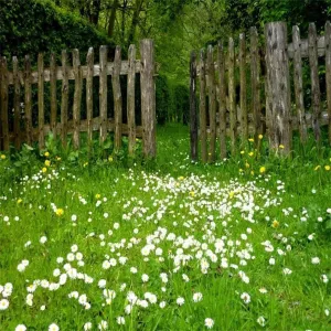 AOFOTO 8x8ft Spring Garden Daisy Flower Backdrop Rustic Wood Fence Summer Meadow Photography Background Forest Wonderland Grass Florets Country Hiking Suburbs Picnic Girl Boy Scouts Photo Studio Props
