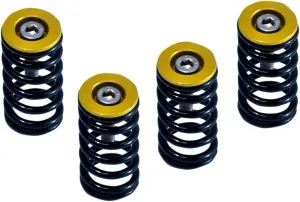 Barnett Ducati Dry Clutch Spring Kit (6-Piece) (Gold)