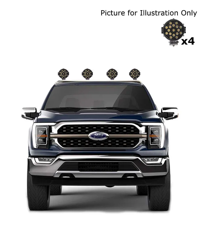 Black Horse Off Road RB001SS-PLB Stainless Steel Stainless Steel