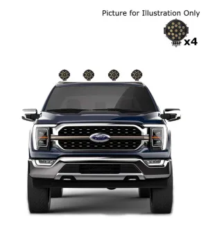 Black Horse Off Road RB001SS-PLB Stainless Steel Stainless Steel