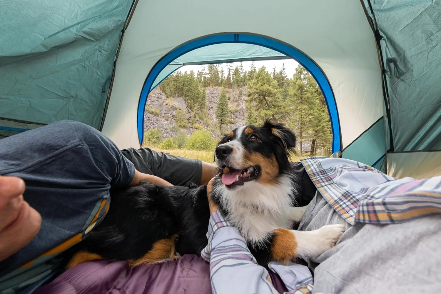 Coleman Skydome Tent with 5 Minute Setup, 6-Person Weatherproof Tent with Rainfly & Carry Bag, 20% More Headroom Than Traditional Canopies