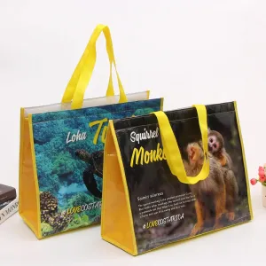 Insulated Cooler Bags