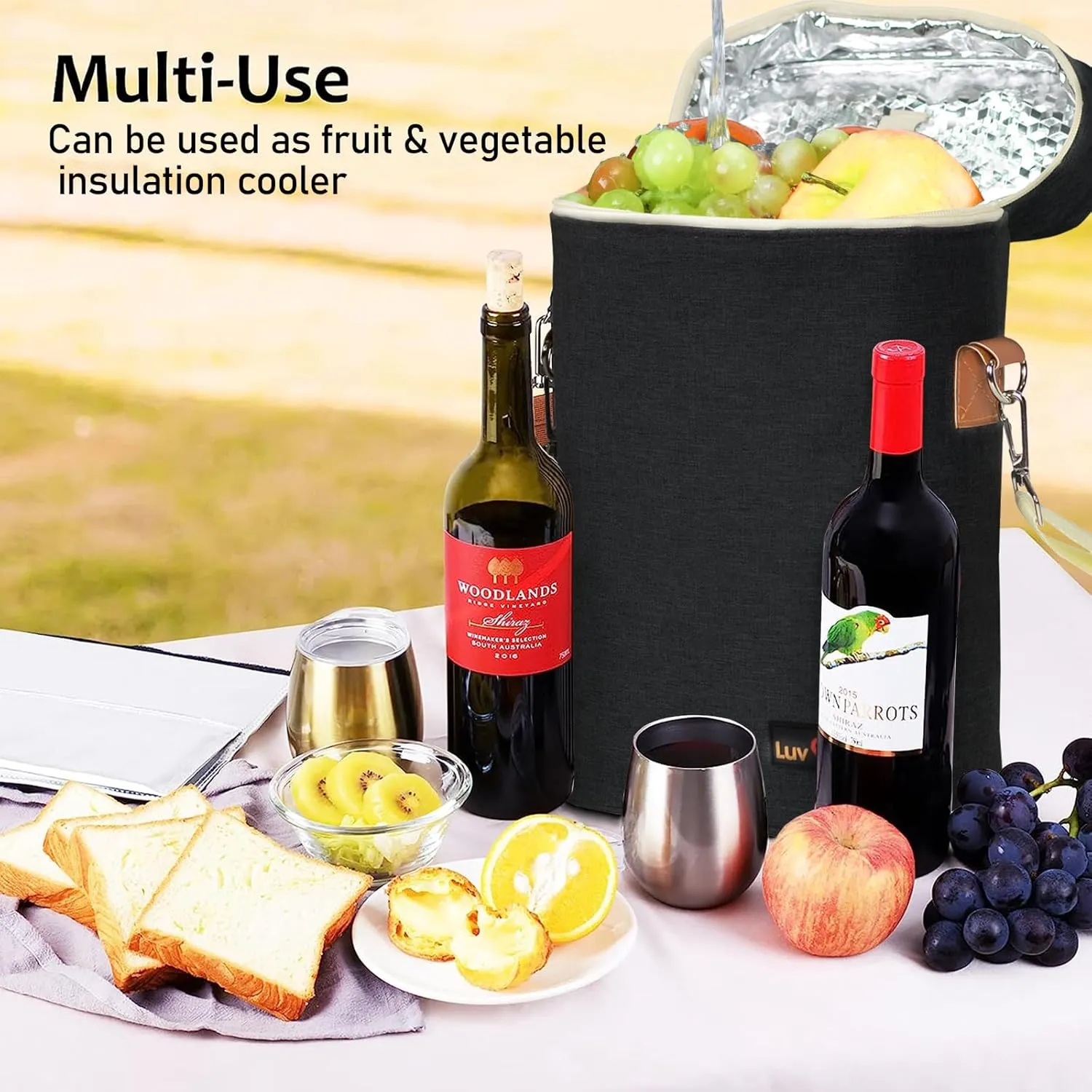 Insulated Leakproof Wine Cooler Bag, Portable Padded Wine Bottle Carrier for Picnic, BYOB, Restaurant, Beach - 2 Bottle, 14" x 9.2" x 4" (Black)
