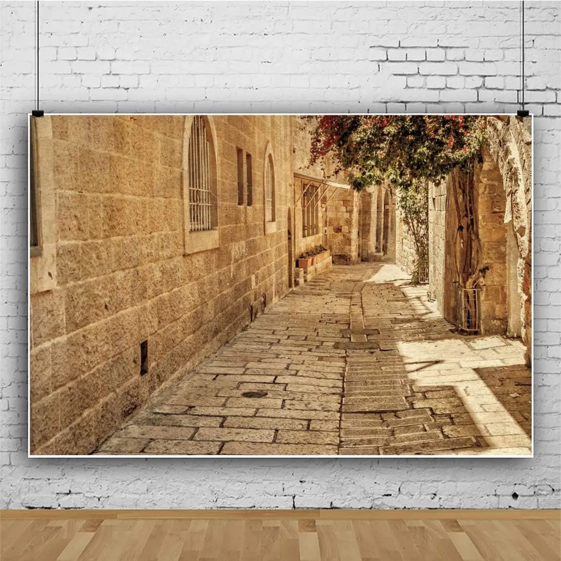 Jerusalem Street Backdrop Ancient Stone Wall Background Old Town Street Background Israel Street Backdrop Baby Shower Wedding Background Town Travel Party Background Studio Props 10x8ft