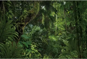 Jungle Forest Trees Backdrop Summer Adventure Party Enchanted Background Rainforest Tropical Natural Scenery Backdrop Natural Safari Party Banner Background Studio Props 10x8ft(300x240cm)