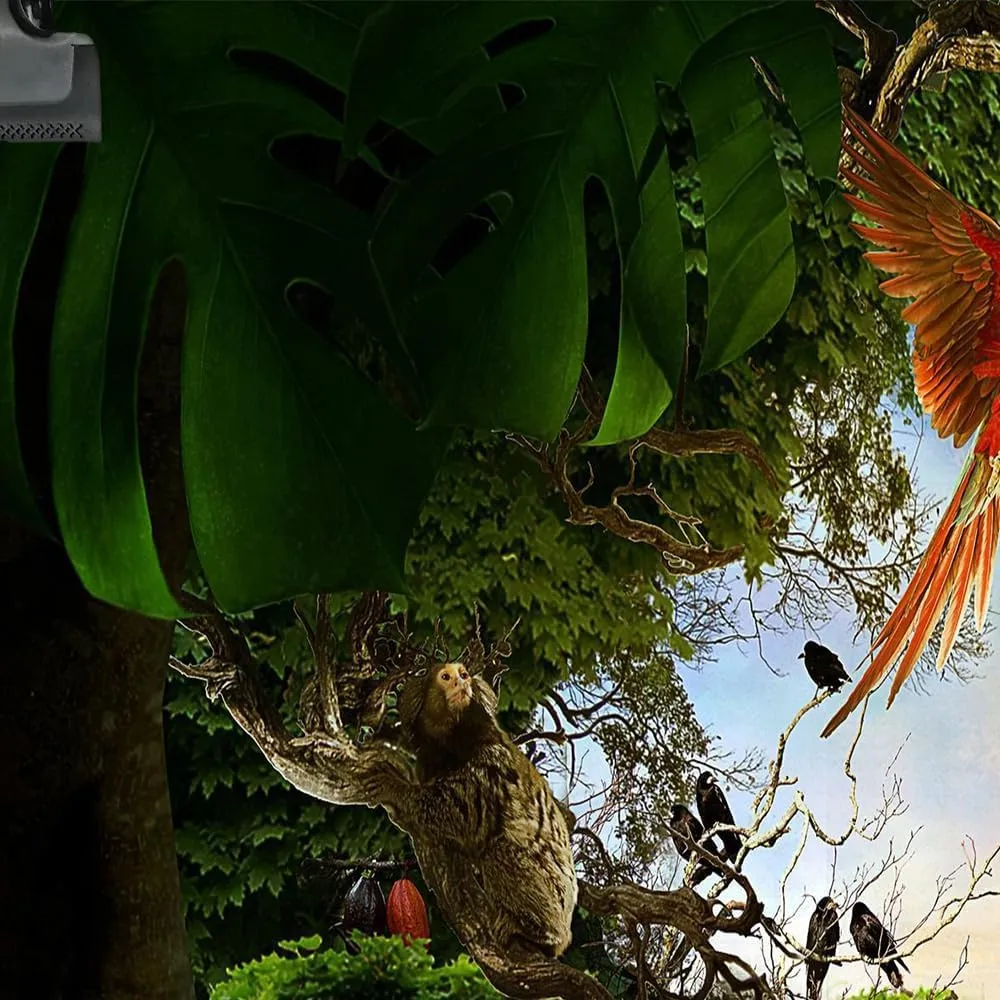 Jungle Safari Backdrop Animation Forest Kids Green Photography Background Rainforest Animal Decoration Celebration Party Photo Shoot Baby Shower Booth Studio Props 10X8FT