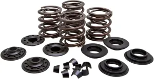 Kibblewhite Precision Lightweight Racing Valve Spring Kit - Steel - .600in. Lift 20-20450