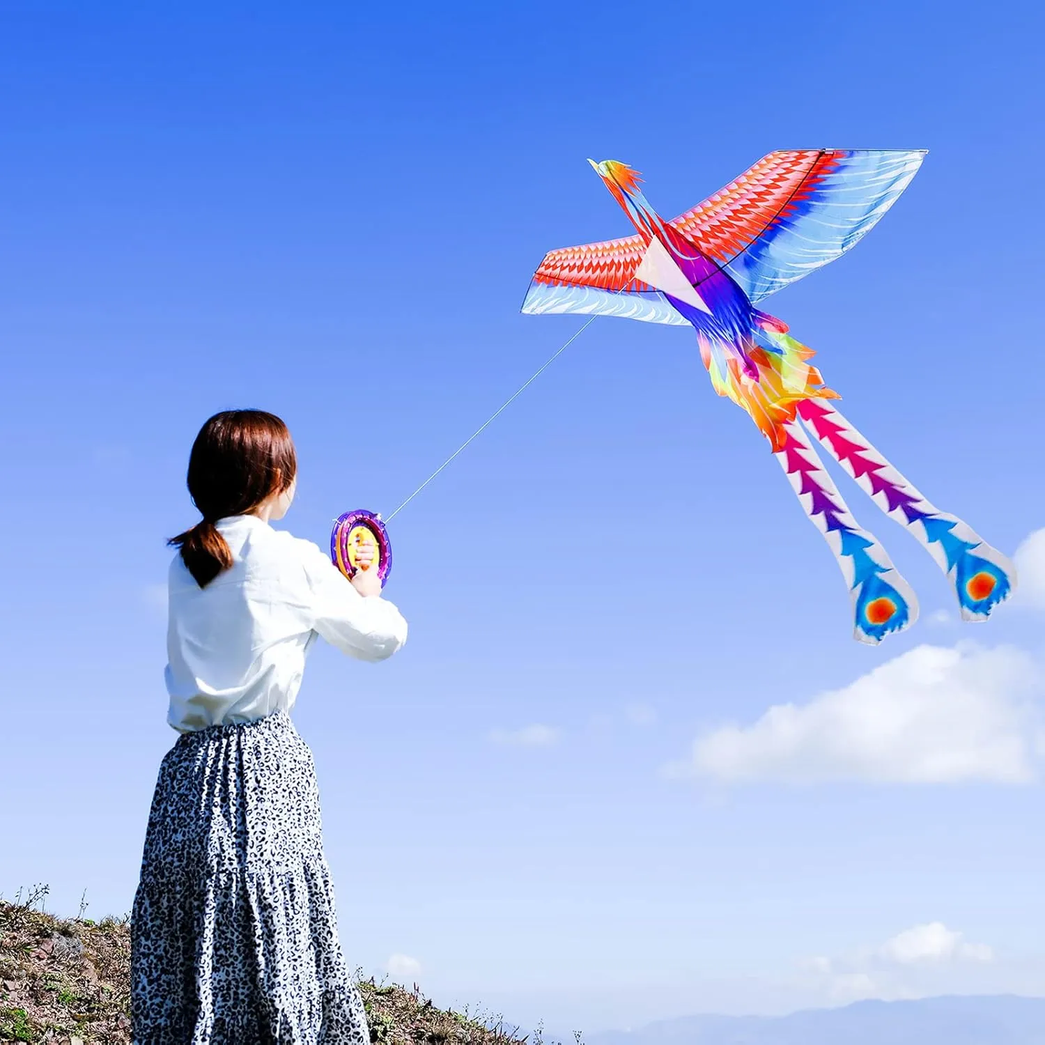 Mint’s Colorful Life Large Kite for Kids and Adults, Easy to Fly Single Line Beach Kites, Comes with 300ft String Handle
