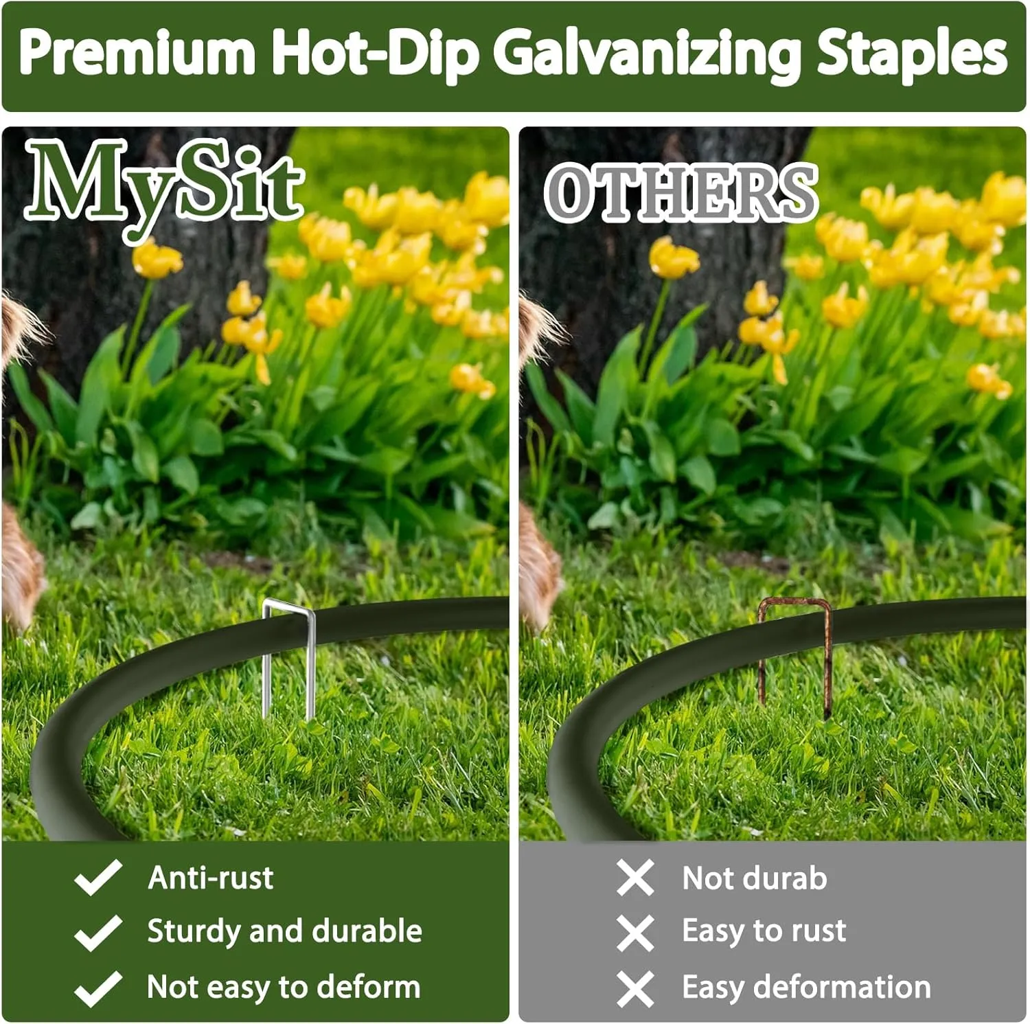 MySit 12" Garden Stakes Pins Landscape Staples 11Ga Tent Stakes 100 Pack, Heavy Duty Galvanized Steel Metal Yard Stakes Ground Lawn Staples Fence Anchors for Weed Barrier Fabric
