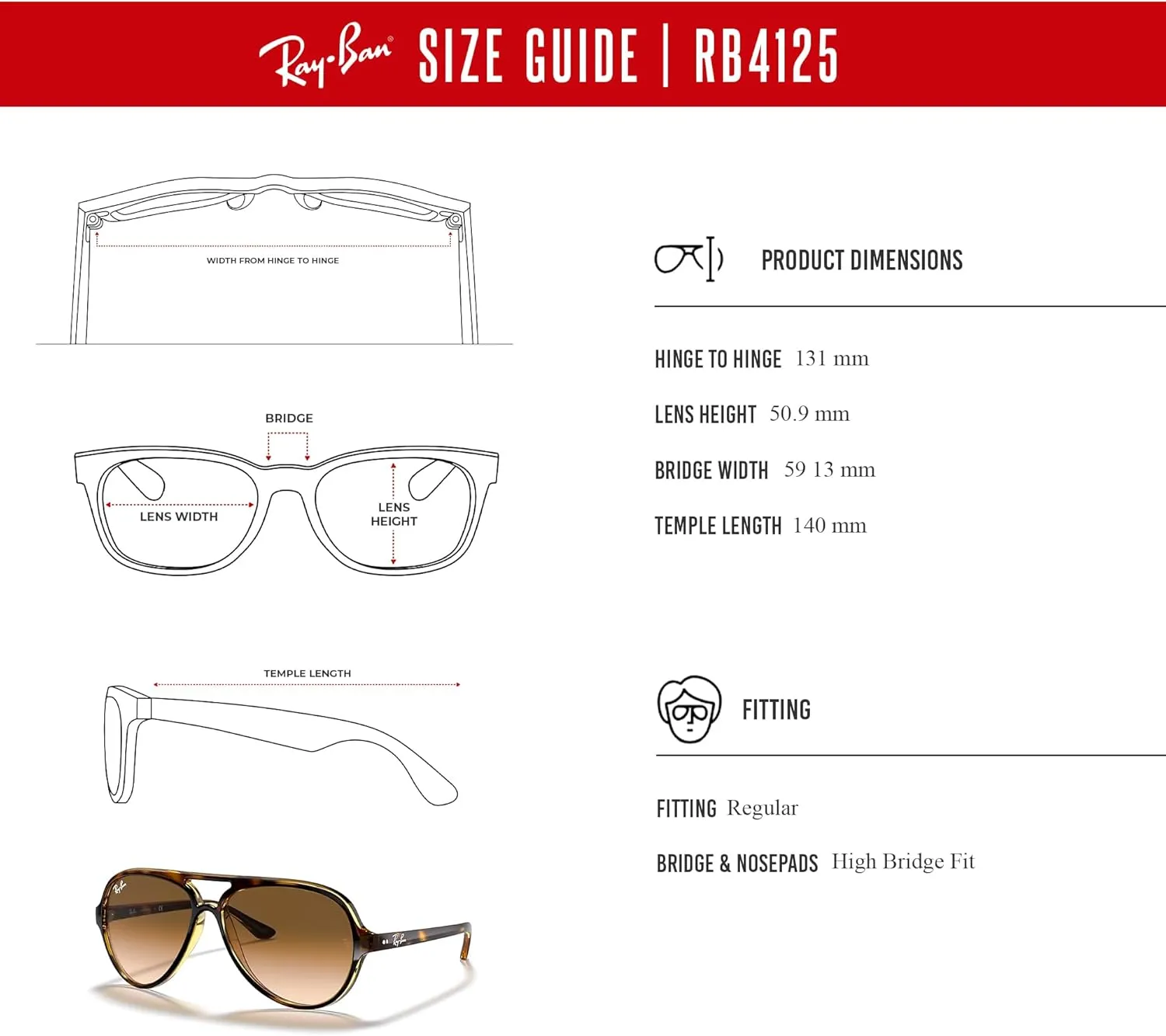 Ray-Ban Cats 5000 RB4125 Aviator Sunglasses for Men   BUNDLE With Designer iWear Complimentary Eyewear Kit