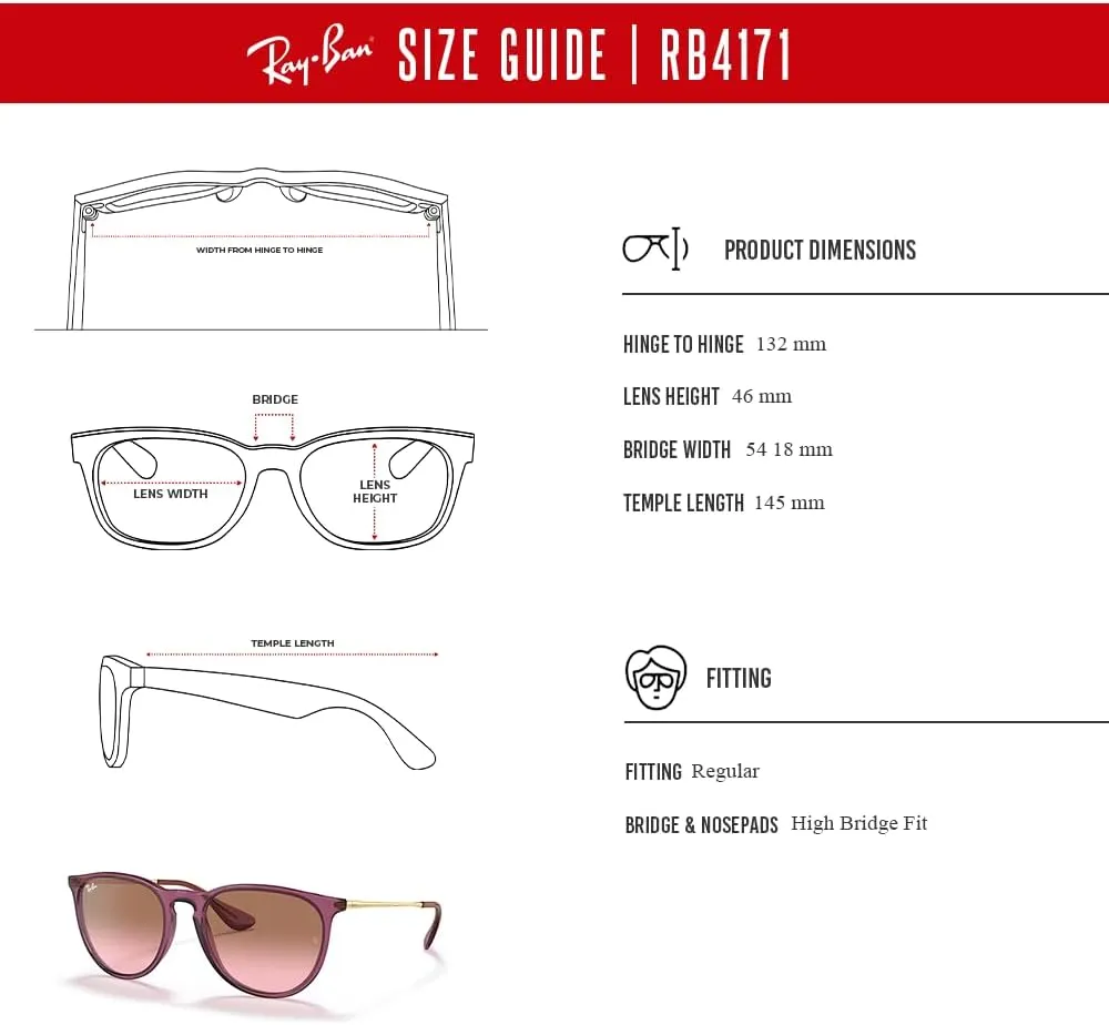 Ray-Ban RB4171 ERIKA Round Sunglasses For Women   BUNDLE with Designer iWear Eyewear Care Kit