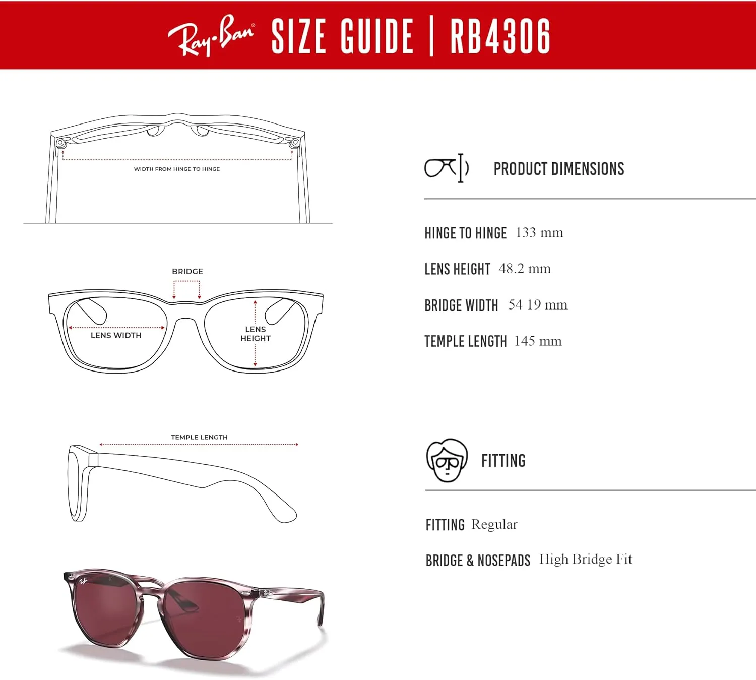 Ray-Ban RB4306 Rounded Sunglasses for Men for Women   BUNDLE With Designer iWear Eyewear Kit