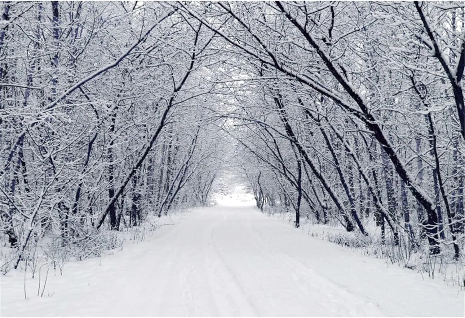 Renaiss 10x7ft Snowscape Forest Path Photo Backdrop Vinyl Snow Ice Tree Road Photography Backdground Winter Scenery Christmas New Year Party Decorations Birthday Wedding Photo Studio Booth Props