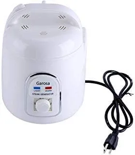 Sauna Steamer Portable Steam Sauna Generator Pot Explosion-Proof Machine Evaporator for Home SPA Shower, Body Relaxation, Face Beautifying 1.8L (Sauna Steamer)
