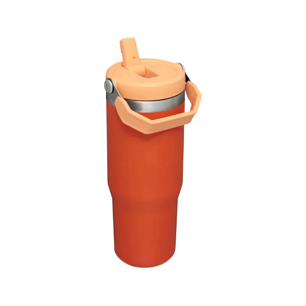 Stanley Adventure Classic Iceflow Flip Straw 30oz Tumbler - Tigerlily