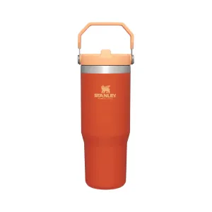 Stanley Adventure Classic Iceflow Flip Straw 30oz Tumbler - Tigerlily