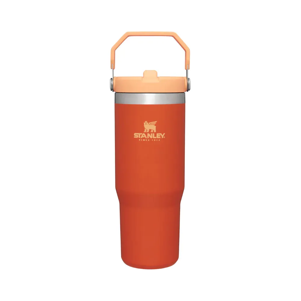 Stanley Adventure Classic Iceflow Flip Straw 30oz Tumbler - Tigerlily