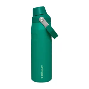 Stanley IceFlow™ Bottle with Fast Flow Lid 24oz - Alpine