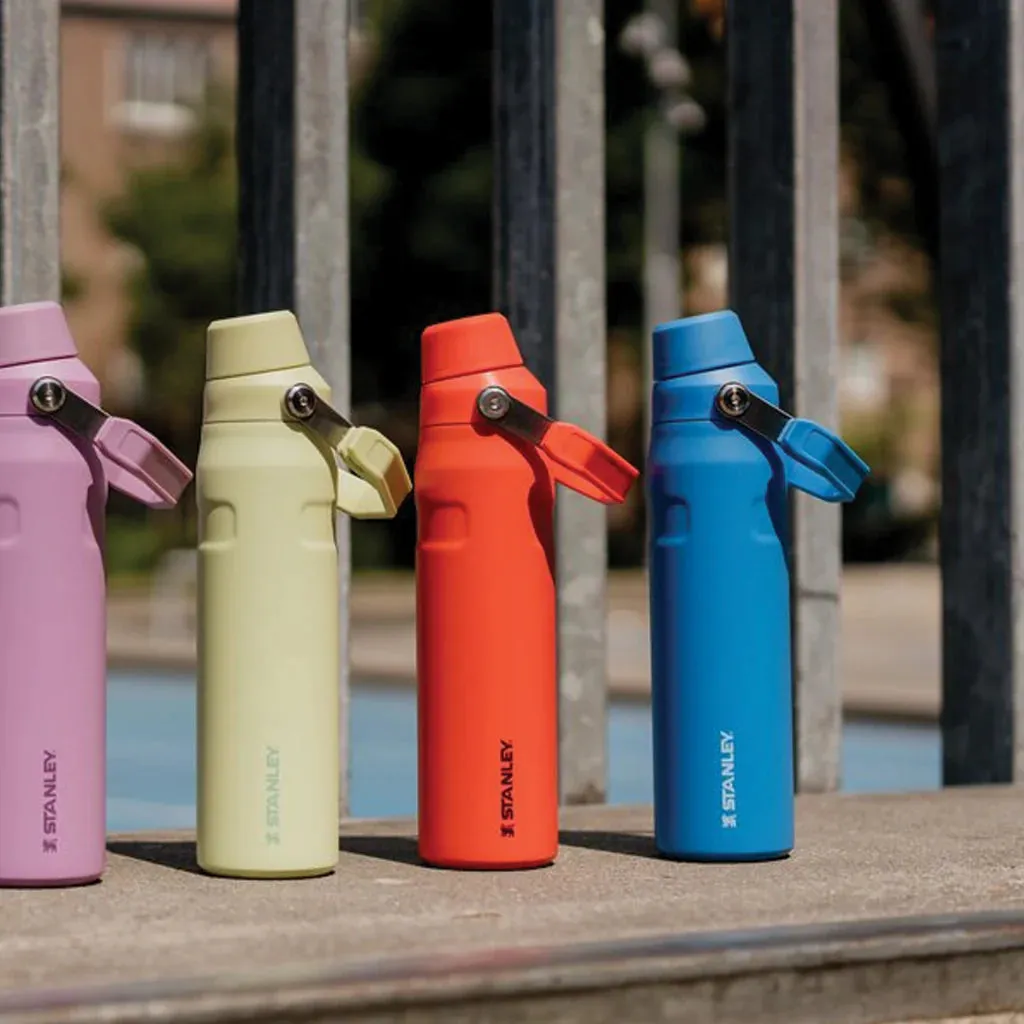 Stanley IceFlow™ Bottle with Fast Flow Lid 24oz - Ash