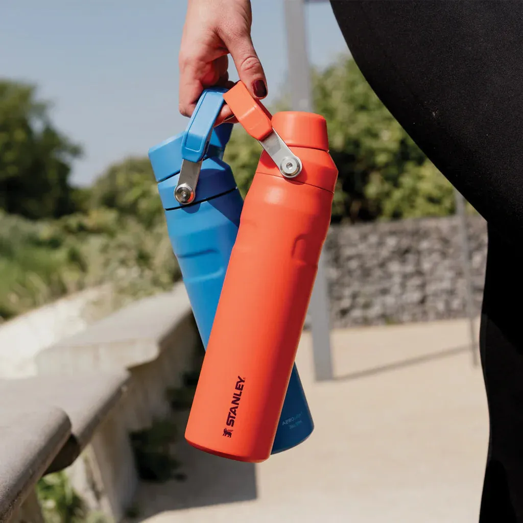 Stanley IceFlow™ Bottle with Fast Flow Lid 24oz - Ash