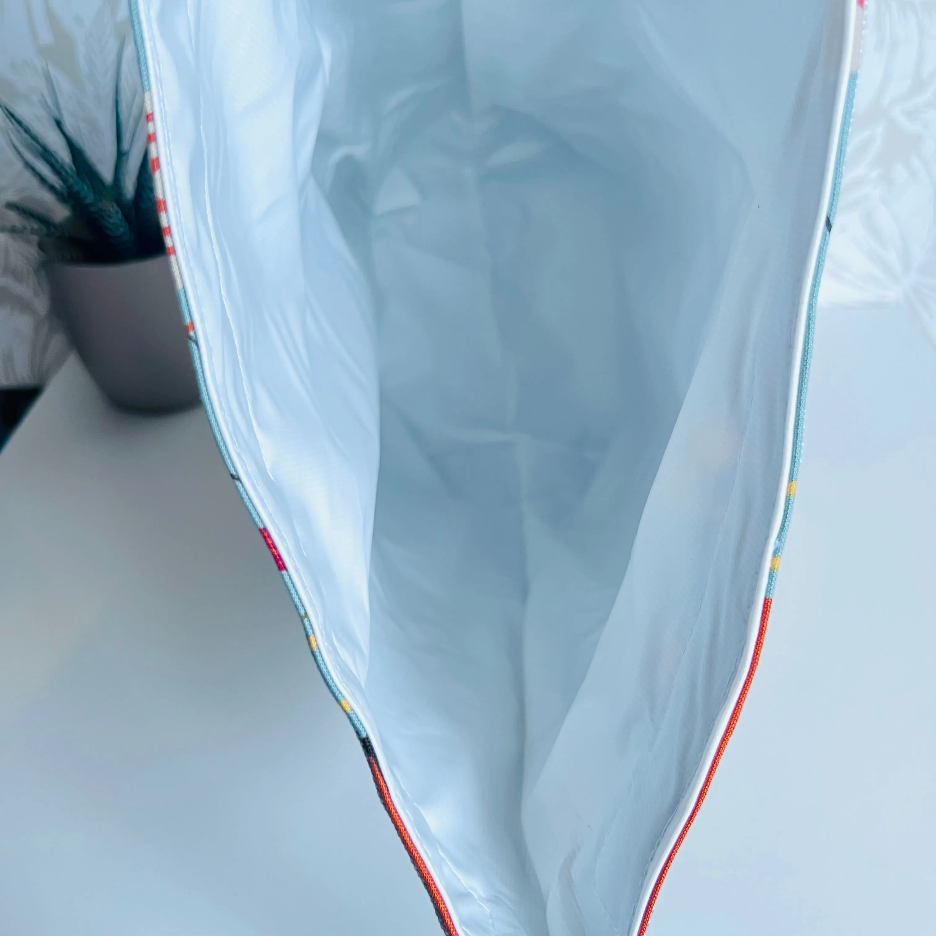 Tent & Canoe Lunch Bag