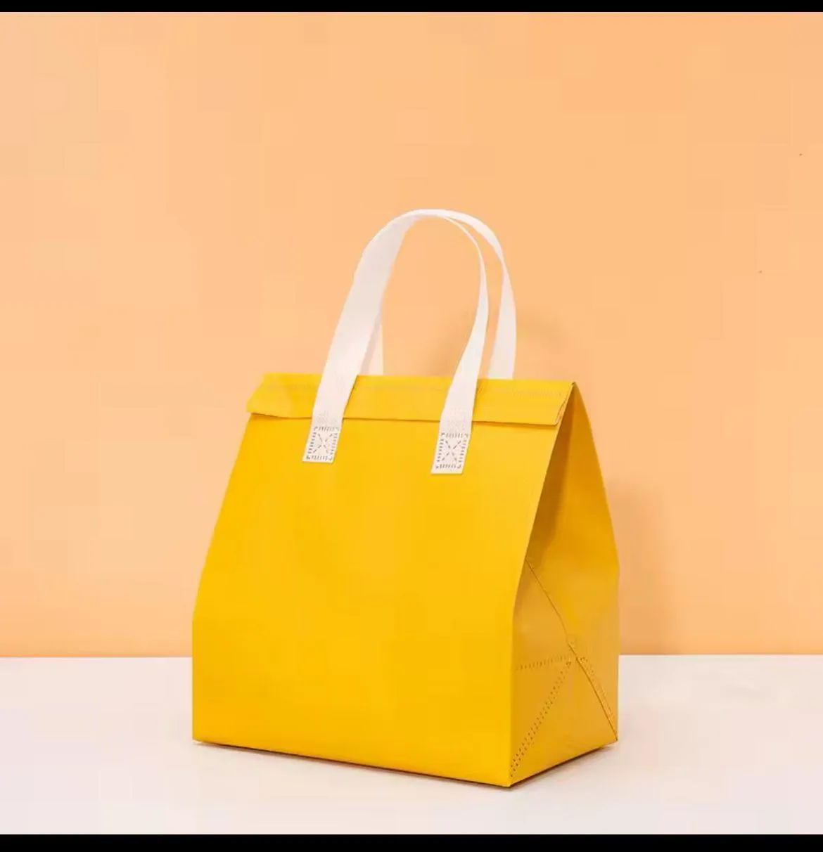 Thermal Food Bag