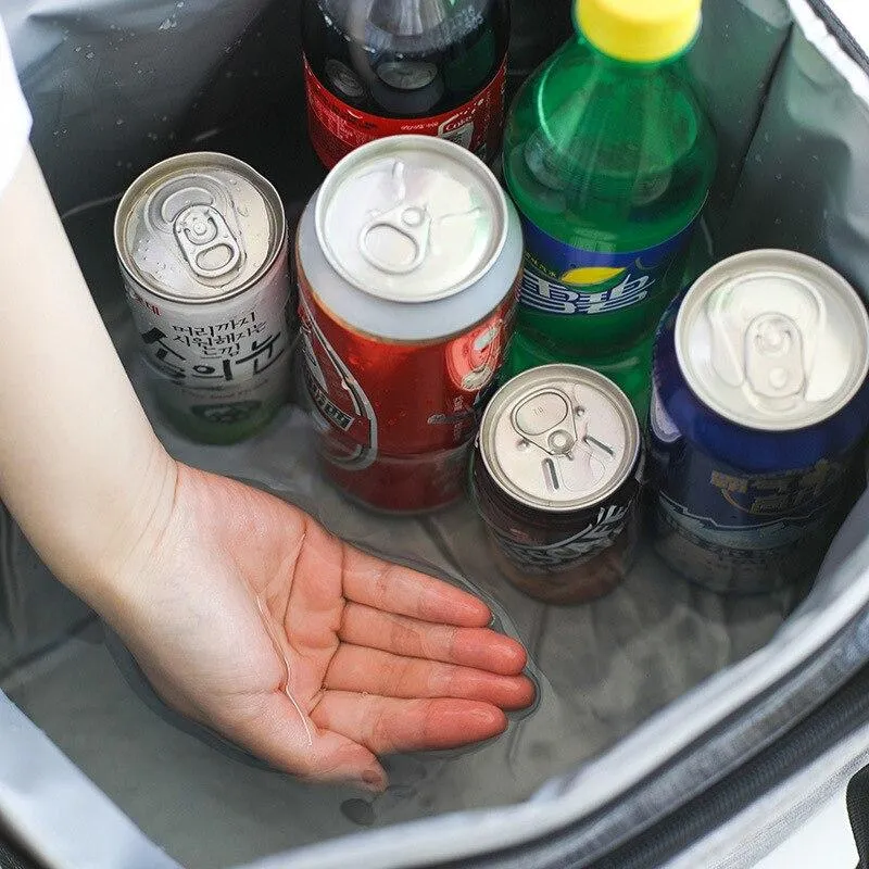 Thermal Picnic Bag
