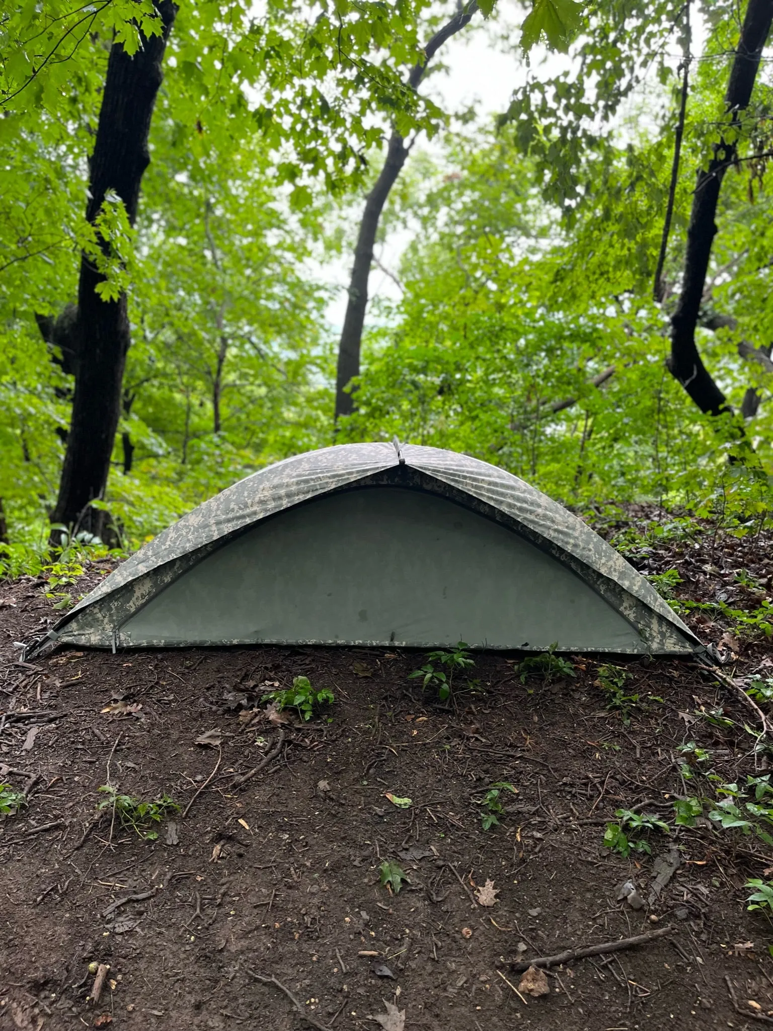 Universal Improved Combat Shelter Tent