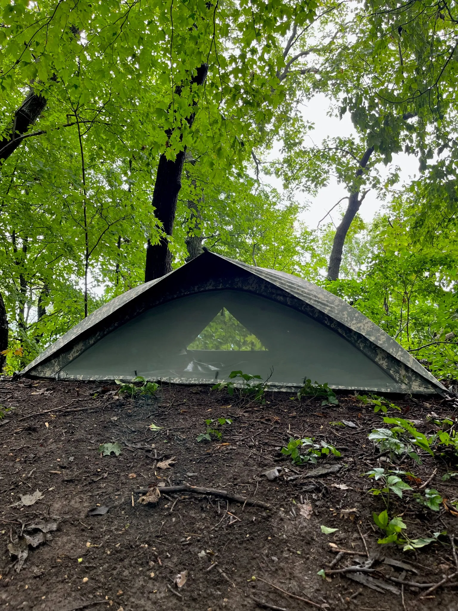 Universal Improved Combat Shelter Tent