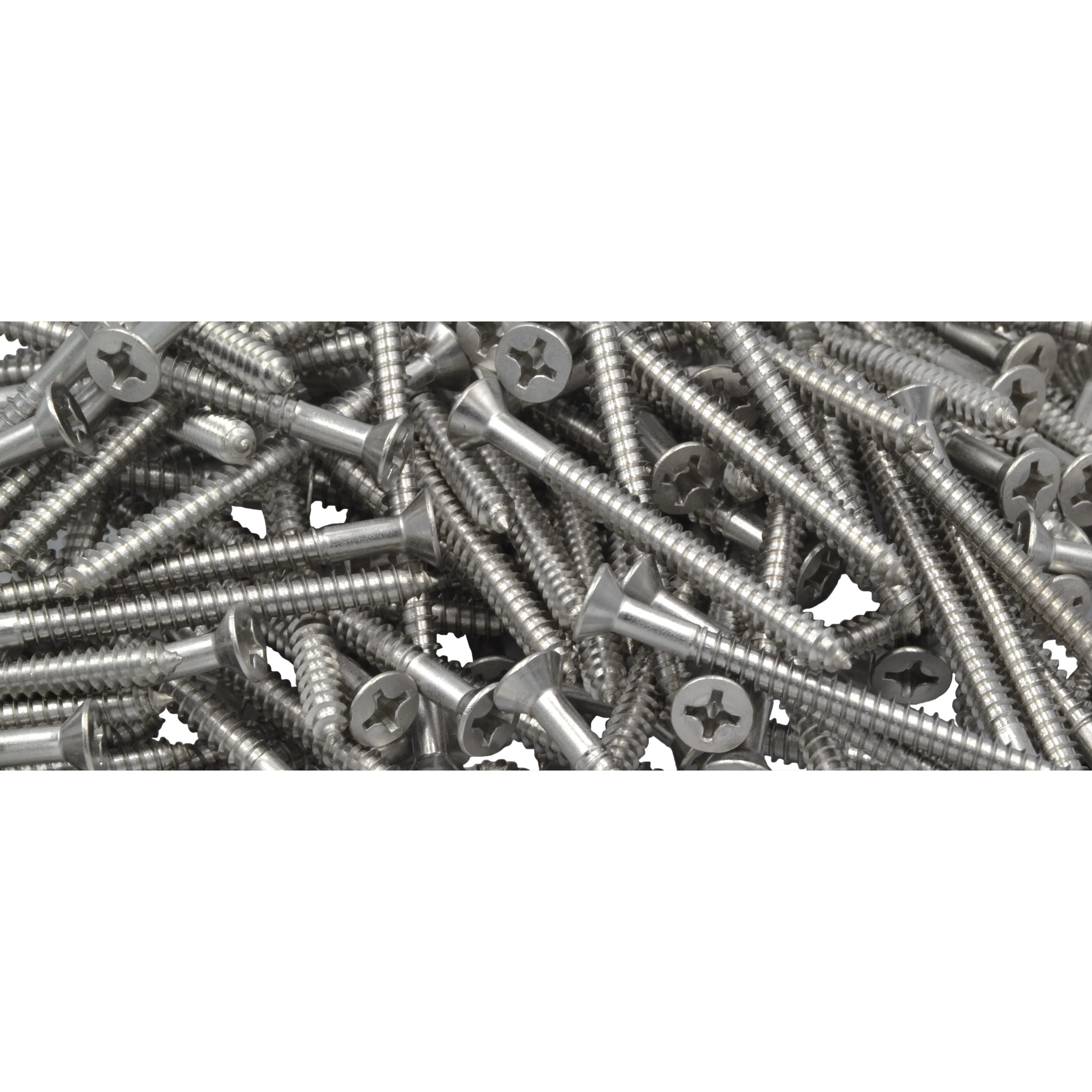 x250 304 Stainless Steel 12G x 63mm Wood Screws Grab Kit