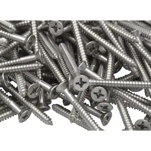 x250 304 Stainless Steel 12G x 63mm Wood Screws Grab Kit