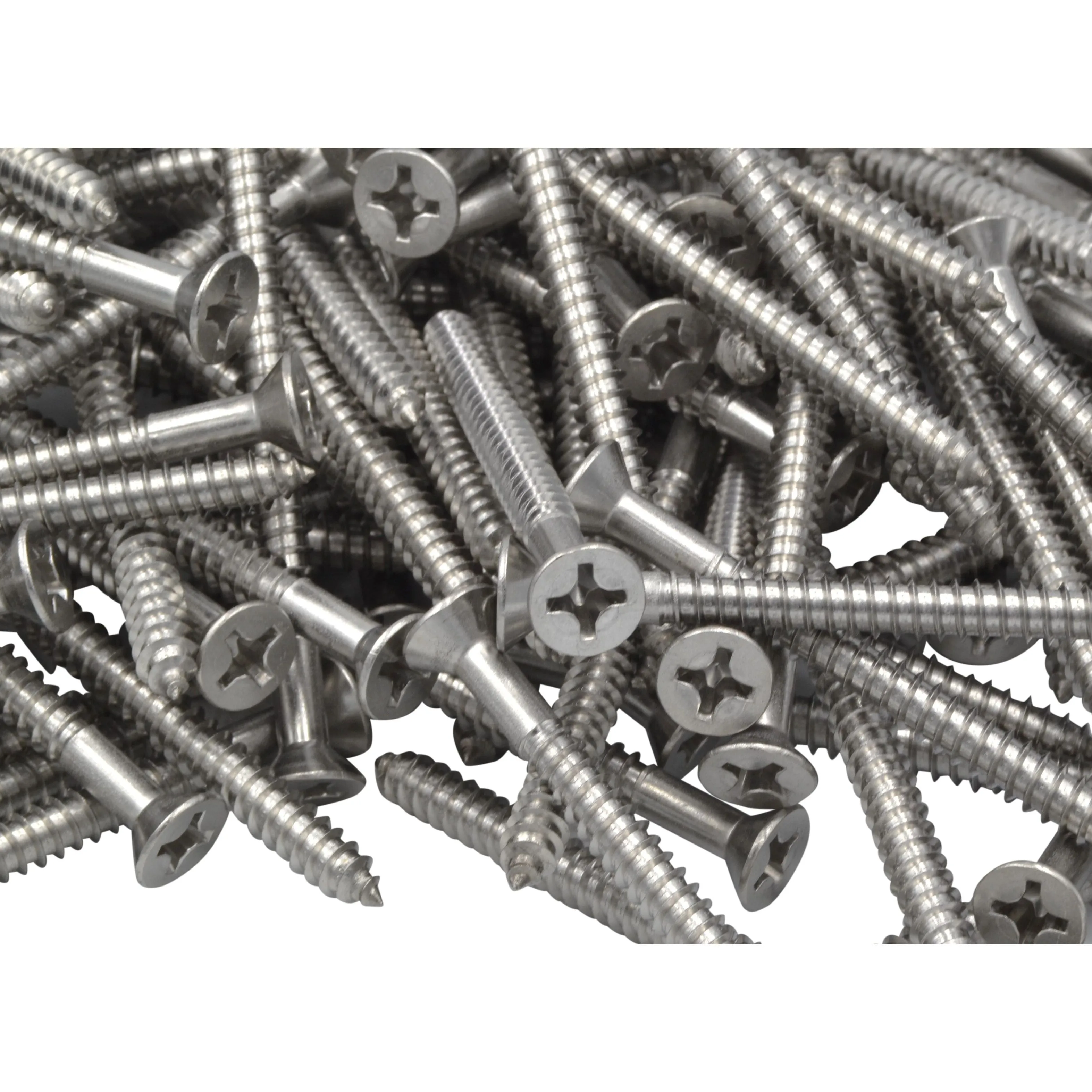 x250 304 Stainless Steel 12G x 63mm Wood Screws Grab Kit