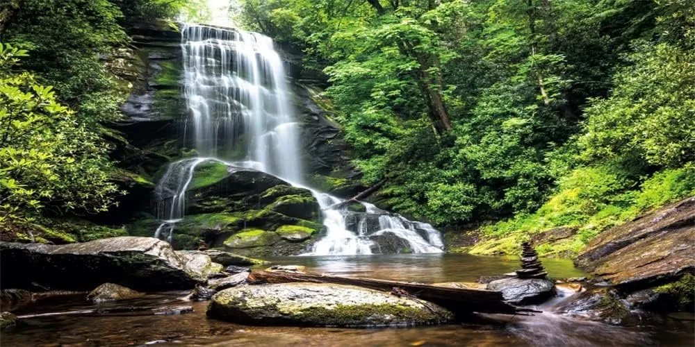 Yeele 20x10ft Waterfall Large Vinyl Photography Backdrop Forest River Nature Landscape Scenery Background Kids Baby Adults Travel Vacation Portrait Shooting Wallpaper Decor Banner Photo Studio Props