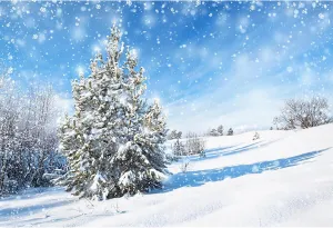 Yongfoto 7x5ft Winter Snowflake Backdrop - Cold Air Ice & Snow World Background for Outdoor Snow Forest, Christmas Tree & New Year